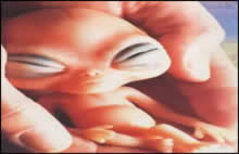 baby alien