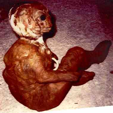 alien body