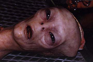 alien autopsy