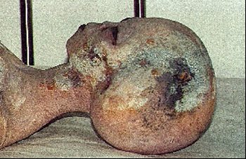 dead alien